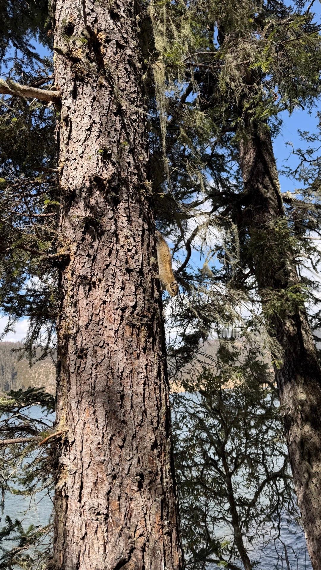 于是我驻足念天地玄黄此后雨季不再来 