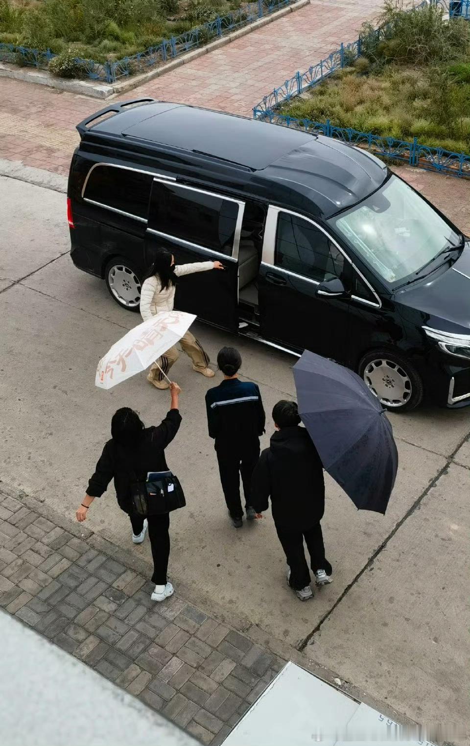 杨紫×生命树背影帅的没边了！！！ 干练利落的白菊女警杨紫生命树上班路透杨紫白菊丸