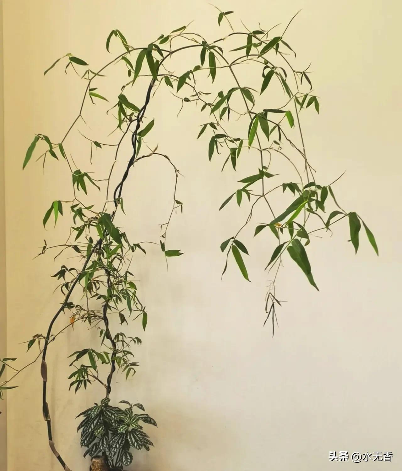 五十岁后，最好的活法就一个字：省

人到五十，像秋天的树，不必再争着往上蹿，该学