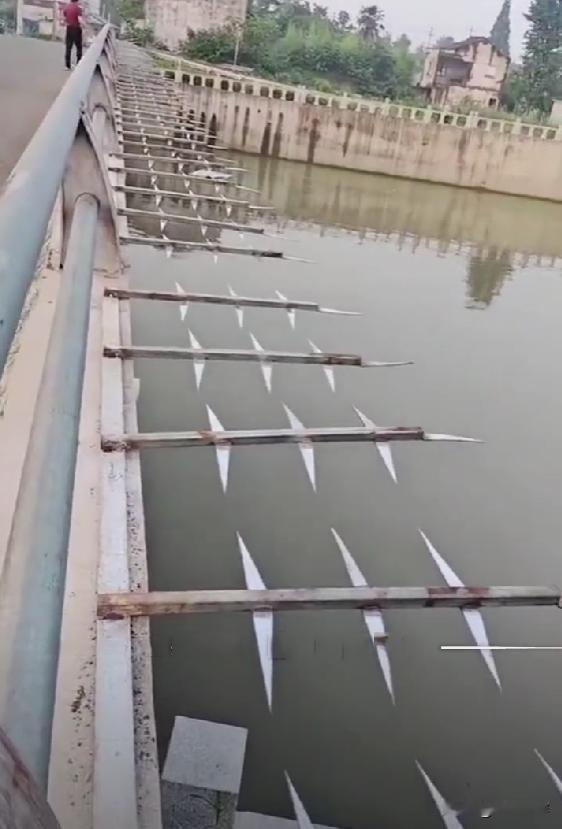 现在跳桥的接二连三，管理者也是伤透了脑筋、操碎了心，为了防止再有人做傻事，终于出