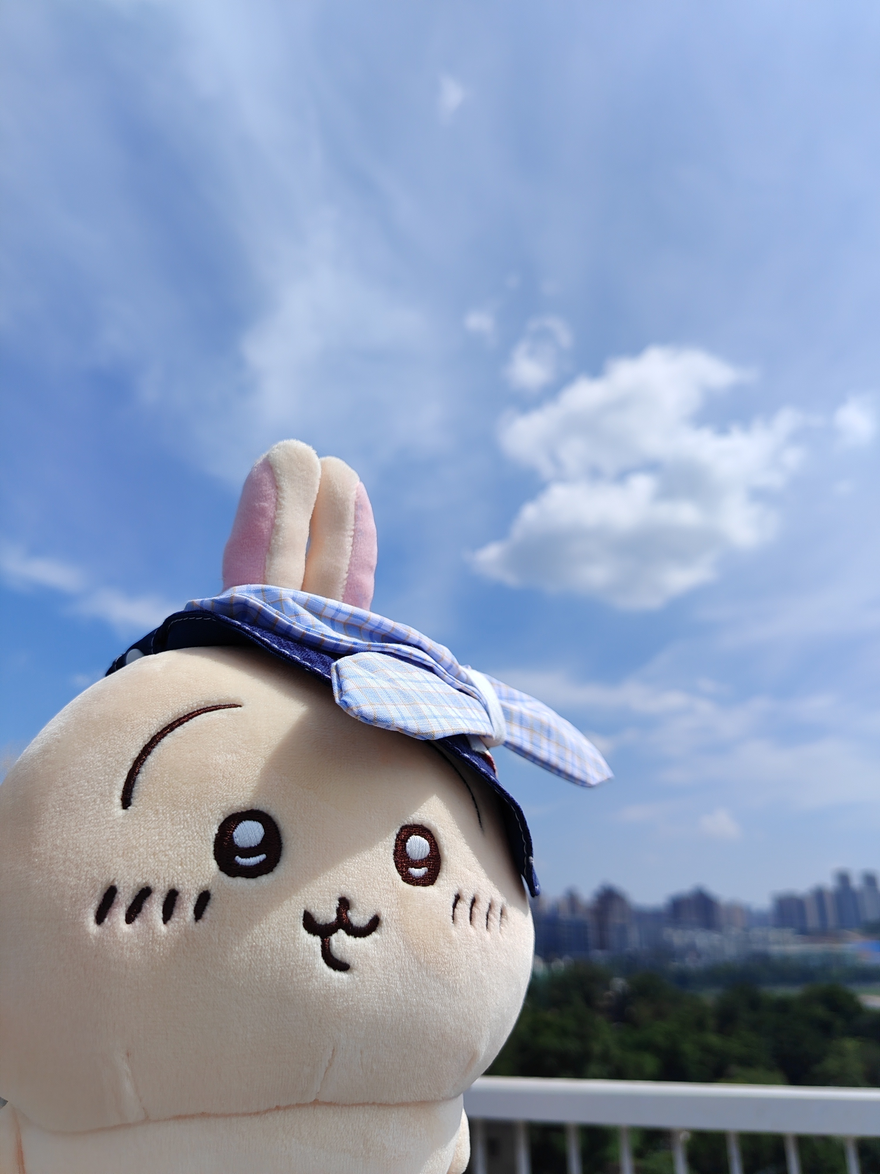 蓝天与乌 
