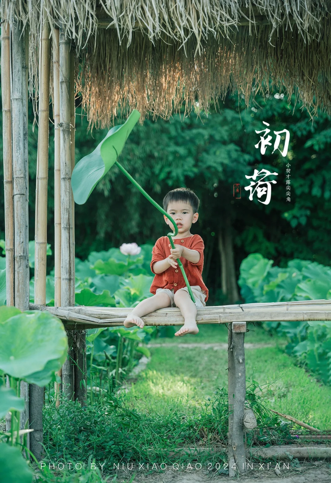 西安这里的荷花🪷开了｜夏日荷花拍照📷
