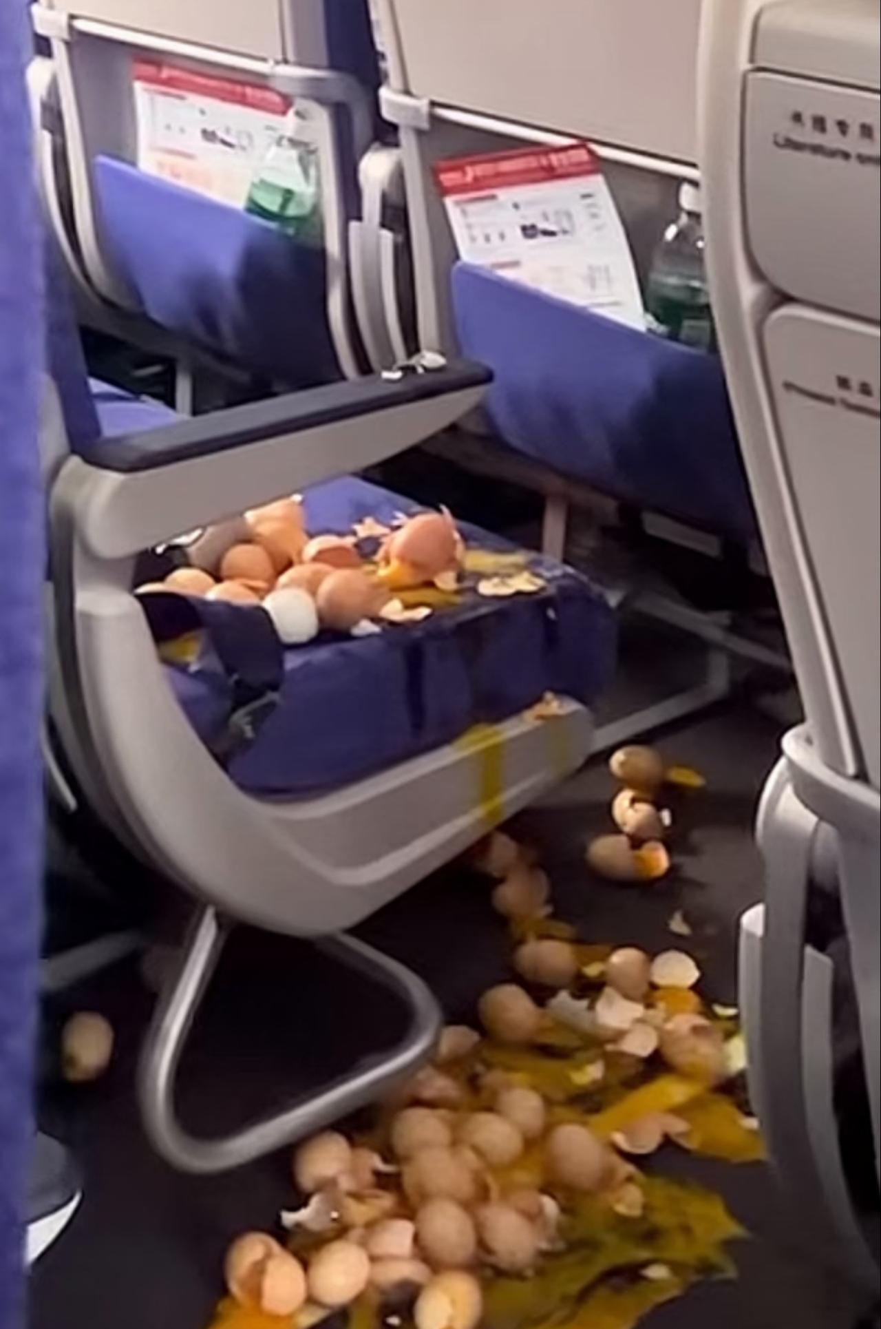 飞机上真能带生鸡蛋吗？
最近网上有个比较火的视频，
不知道大家刷到过没？
就是有