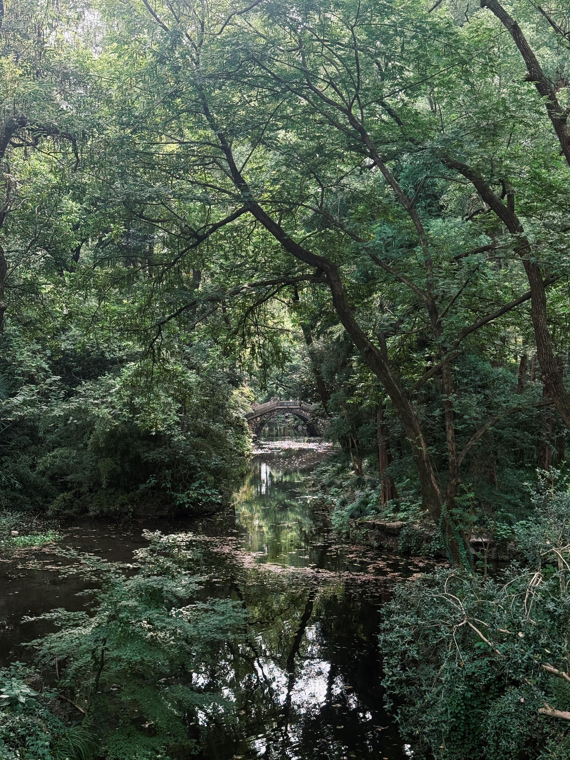 不是在晨跑就是在晨跑的路上用一场酣畅淋漓的晨跑开启新的一天🏃🏻♀️。沿途偶遇