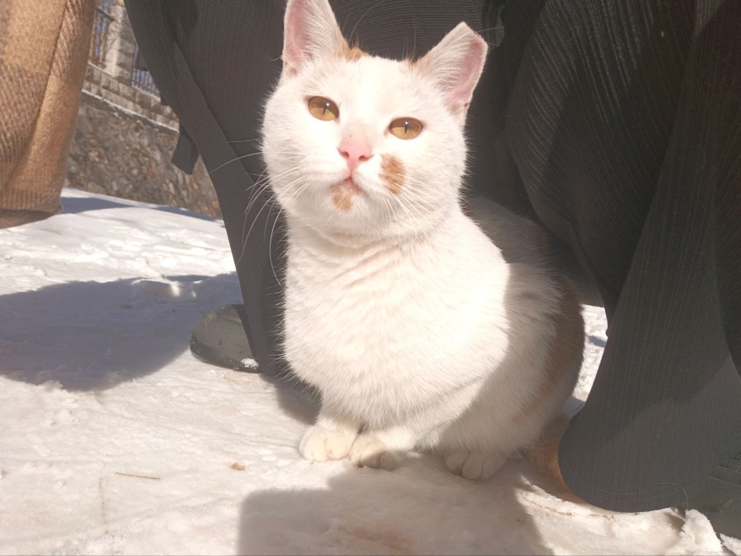 在雪地遇到了漂亮学妹，球lxfs