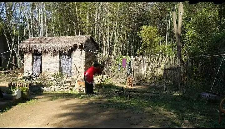 四季更迭，寒来暑往，天气渐渐转凉，趁着阳光正好，在院子里劈点柴，存起来冬日里烧