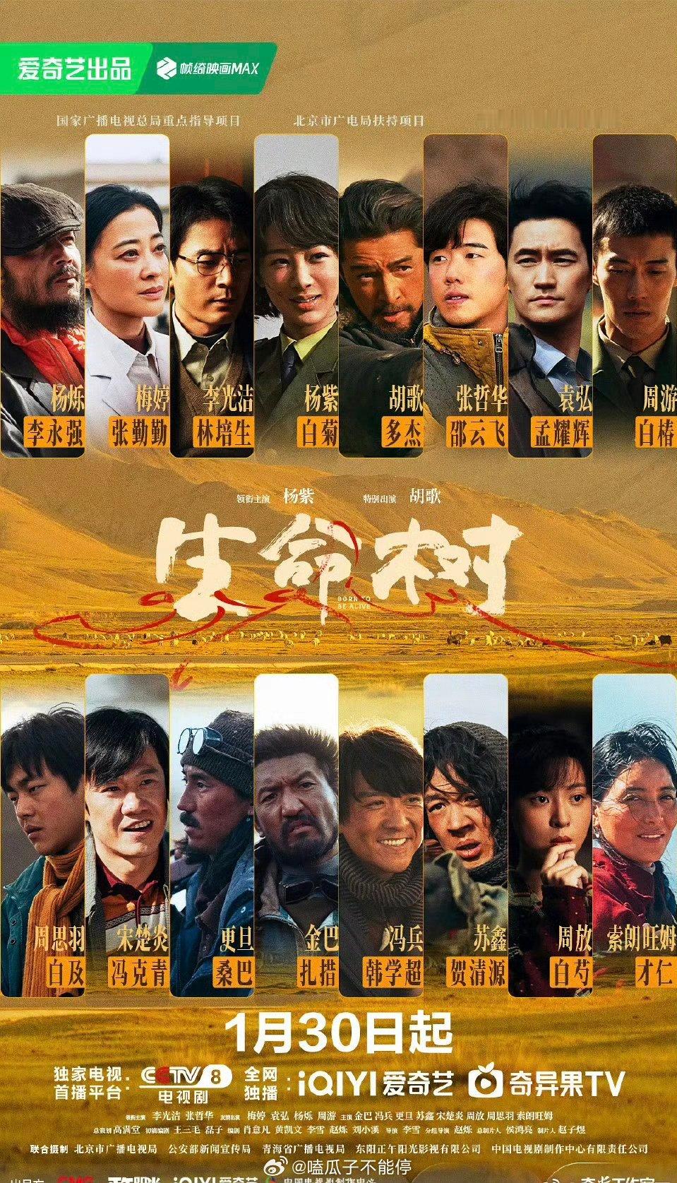 光明日报评杨紫、胡歌《生命树》：唯生命方能礼赞生命。评价好高！ 