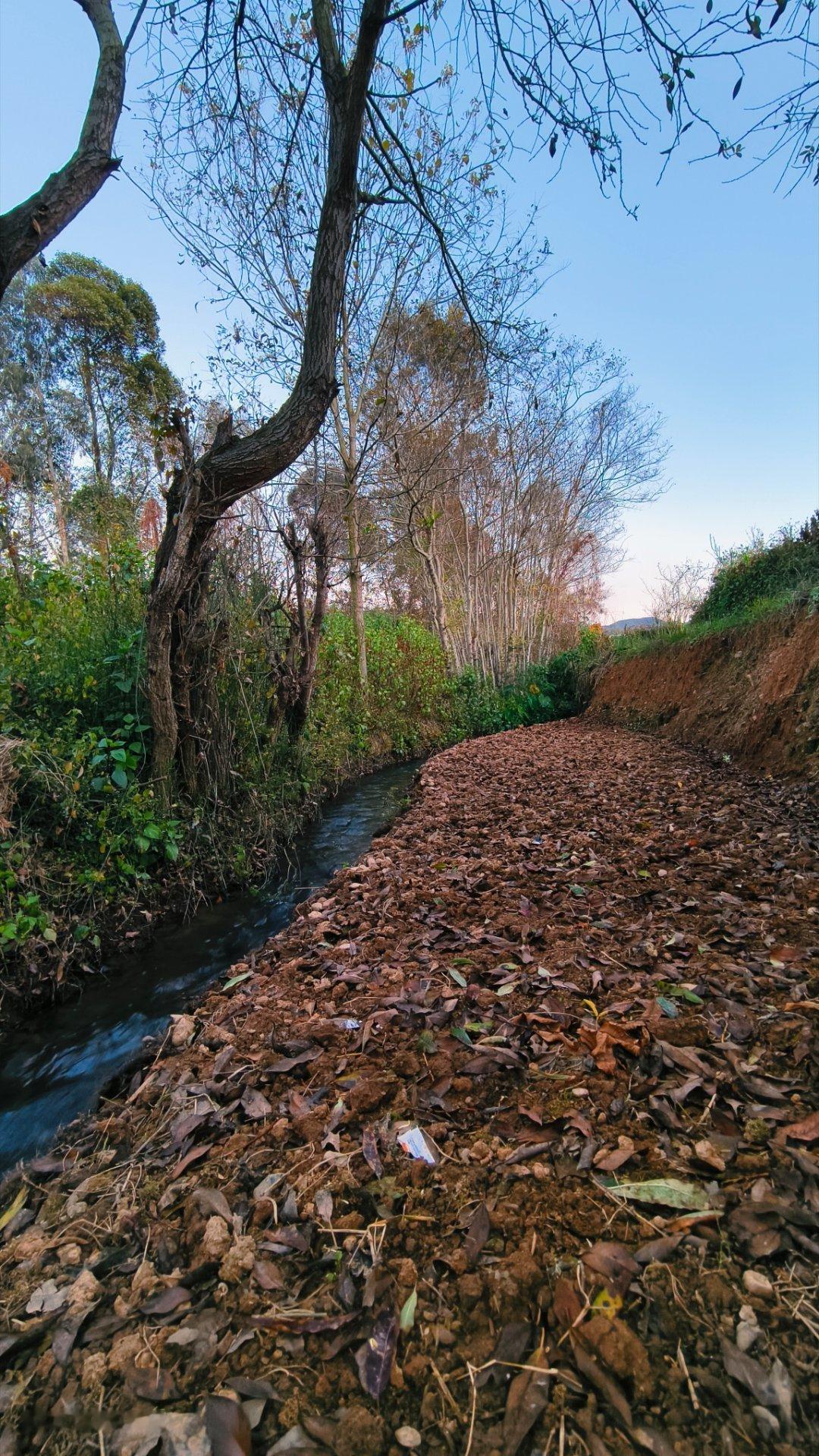 “人一旦历练到不想说话，不想争辩，不想巴结，不想讨好任何人，失去交友的兴趣，失却