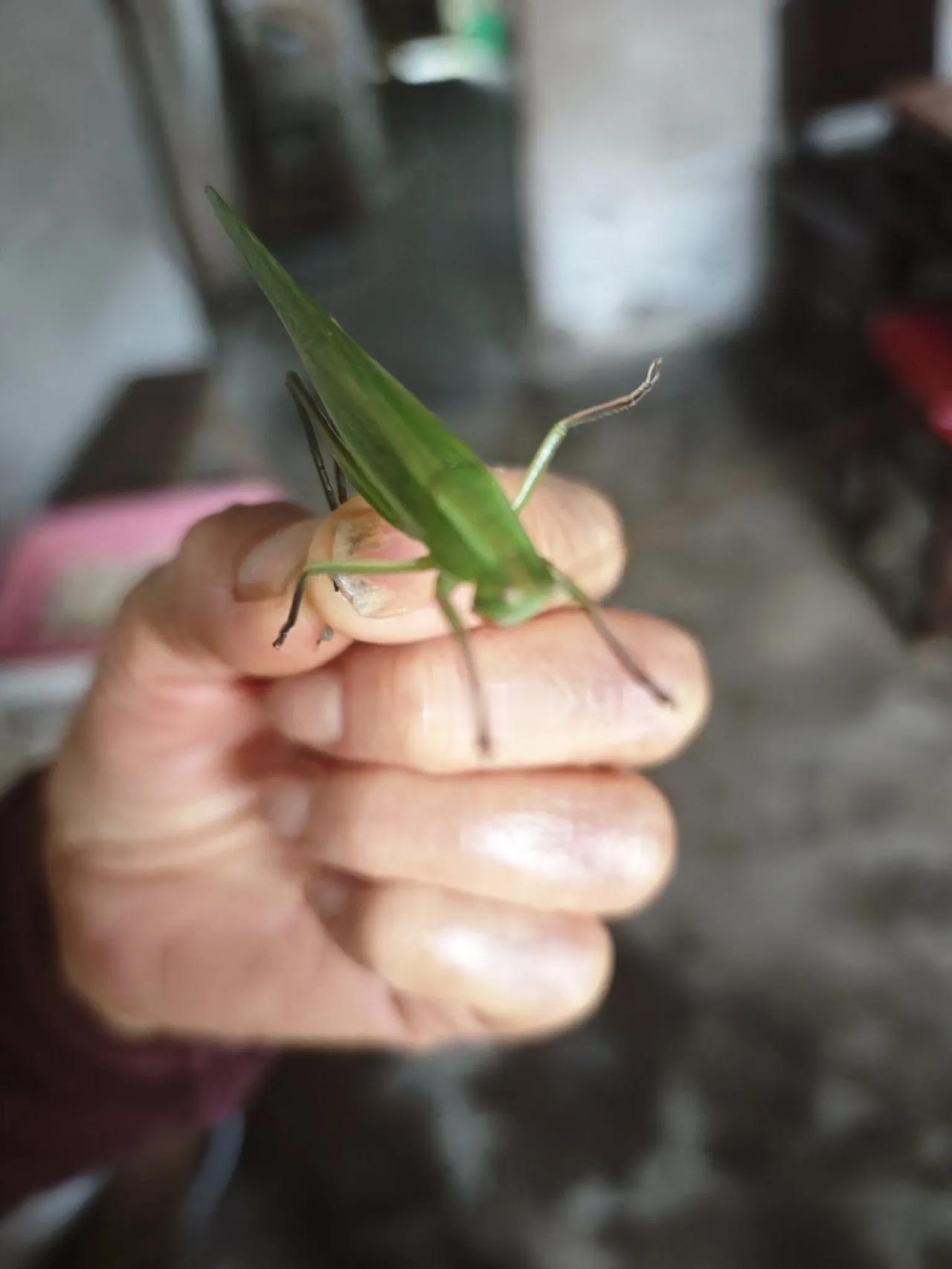 这是什么呀[可爱]
