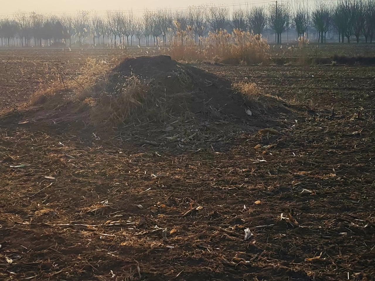 李军家的坟地又迁移了，李军今年45岁，前两天因为肝炎病逝了，他的儿子小李把他埋葬