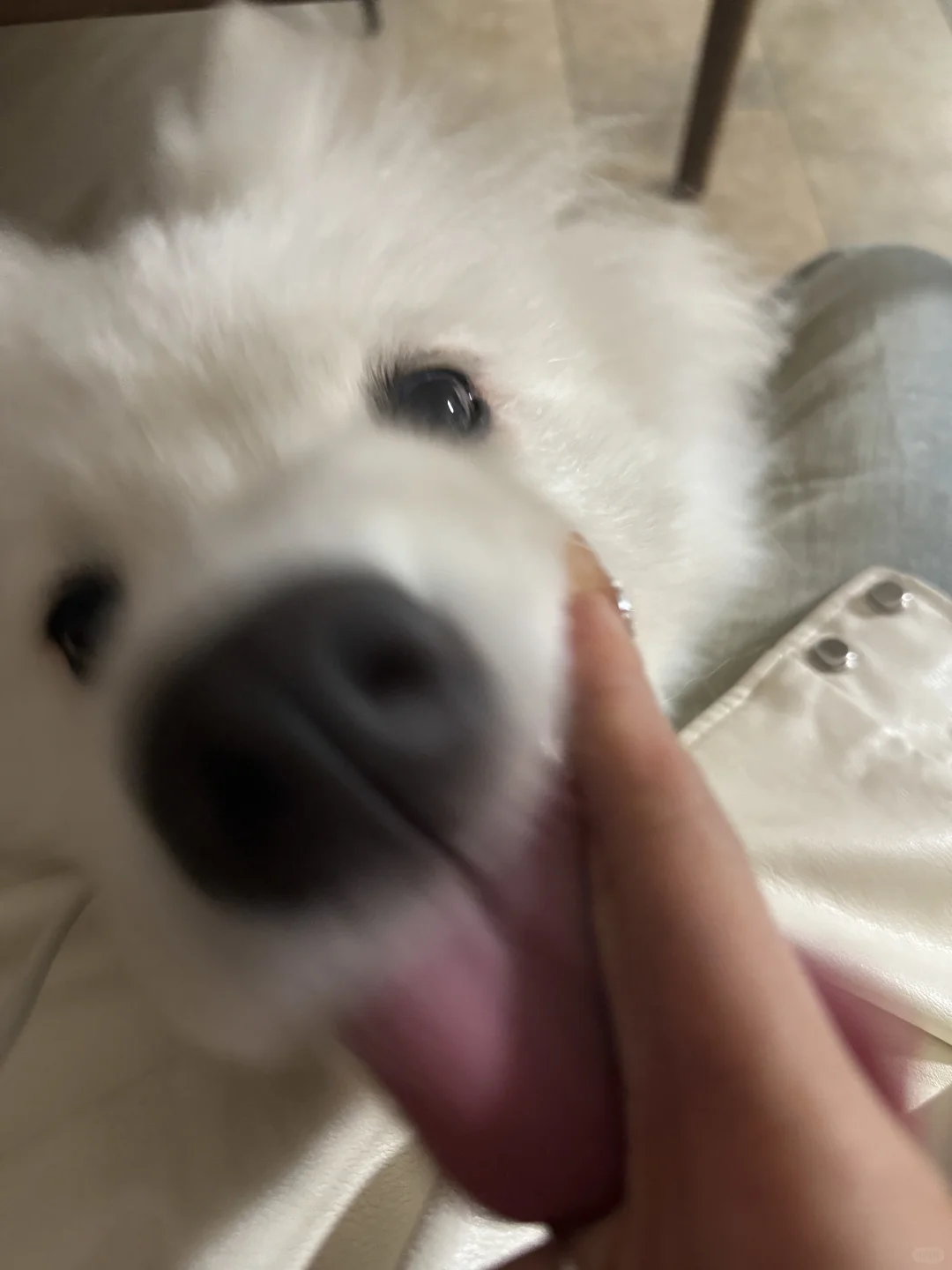 耶耶我舔舔舔