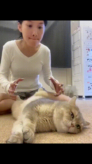 一副生无可恋的样子