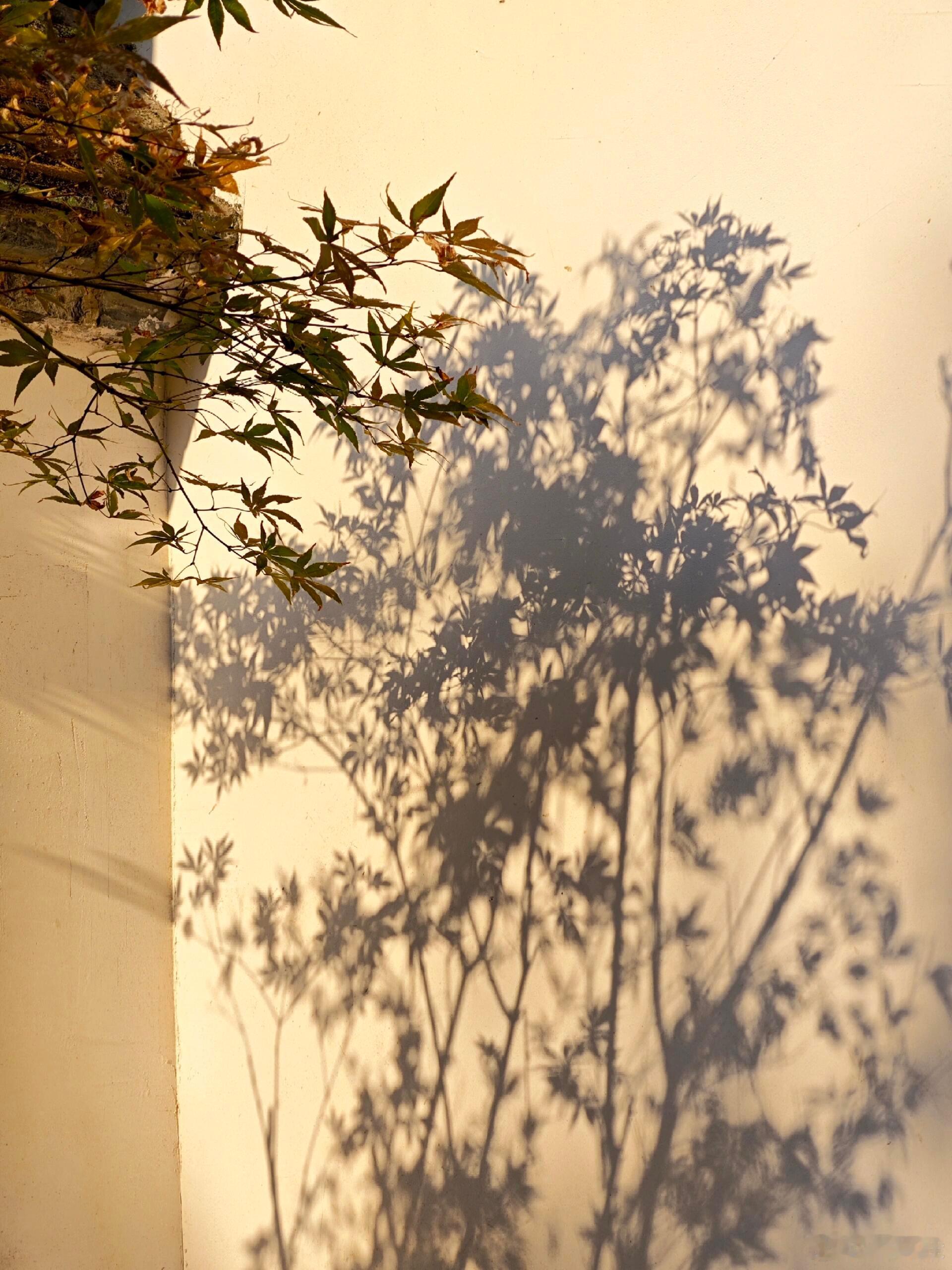 有一段时间里我的情绪起伏很大误以为睡一觉什么都会好起来，然后蹉跎了一个又一个晚上