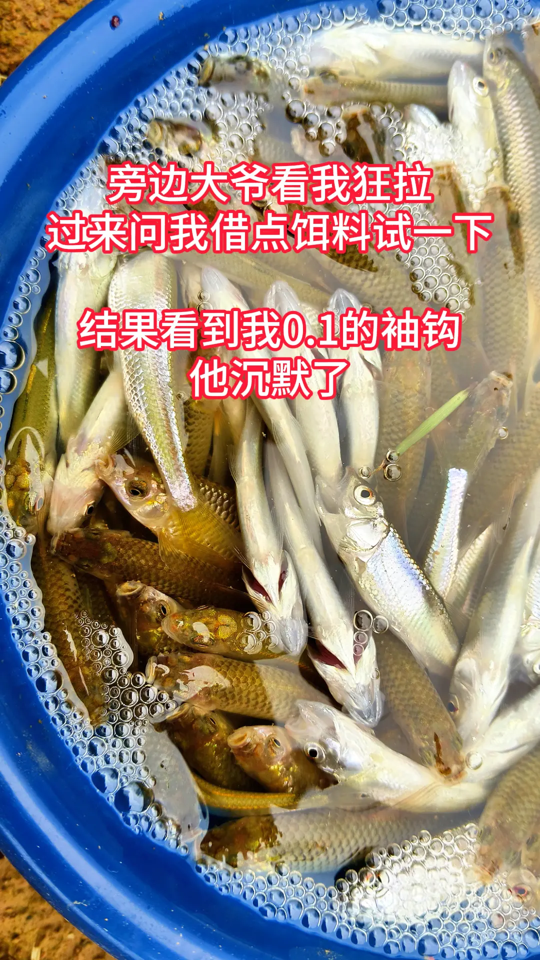 的快乐你不懂😂马口鱼麦穗鱼石斑鱼，钓白条用什么鱼钩，用多大的钩子好？...