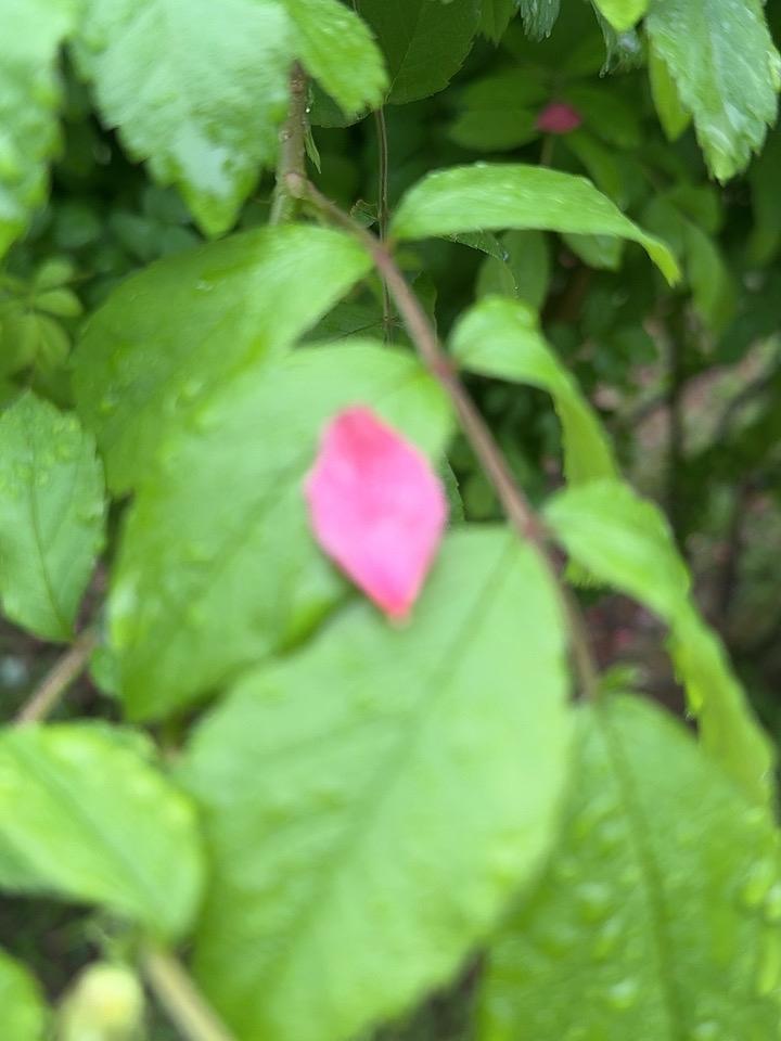 【房价又跌了，打脸了哪些人？】

4月16日，国家统计局公布数据，2026年3月