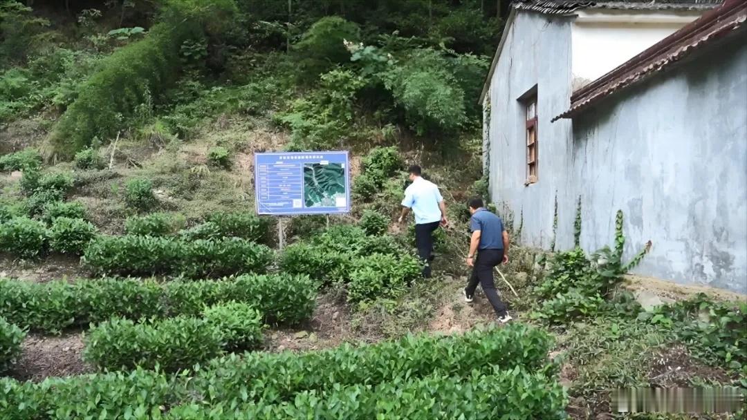 浙江全力打赢台风巴威防御主动仗迎战台风巴威浙江全面行动 浙江长兴林城镇应急消防管