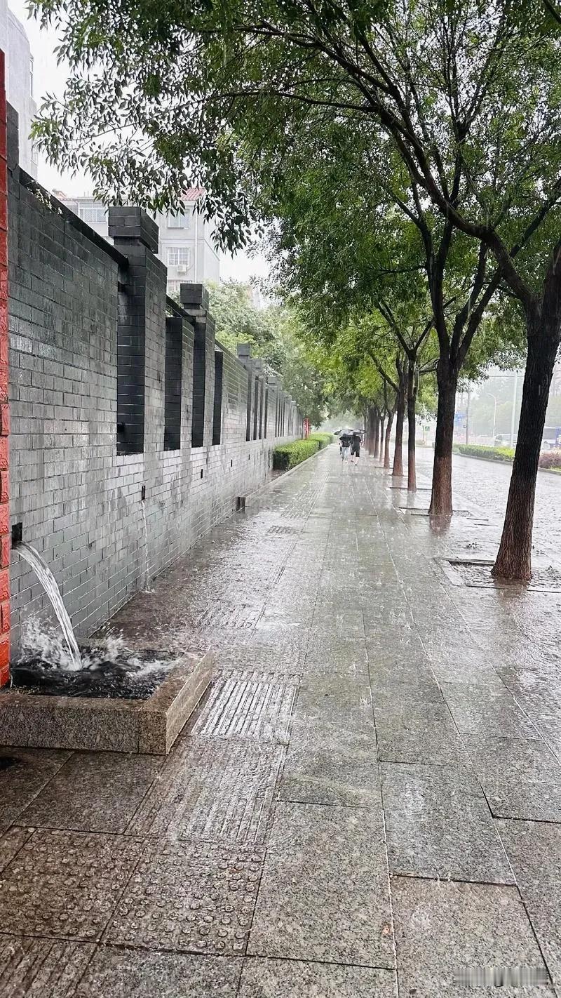 古都和大都市的雨，和别处的不一样，宏大背景更能映衬出小角落的宁静。
      