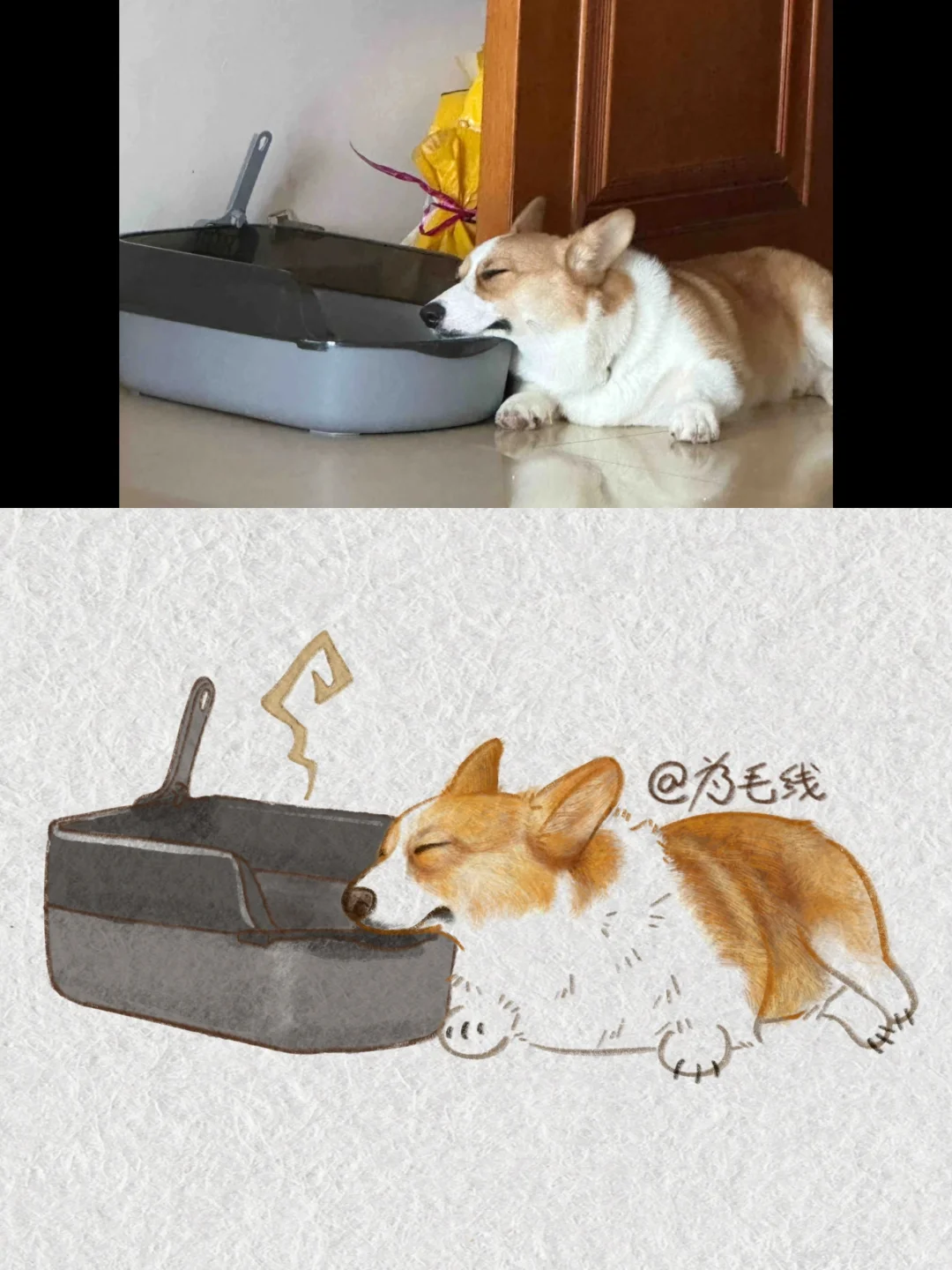 抓修狗｜静等猫师傅做饭👏