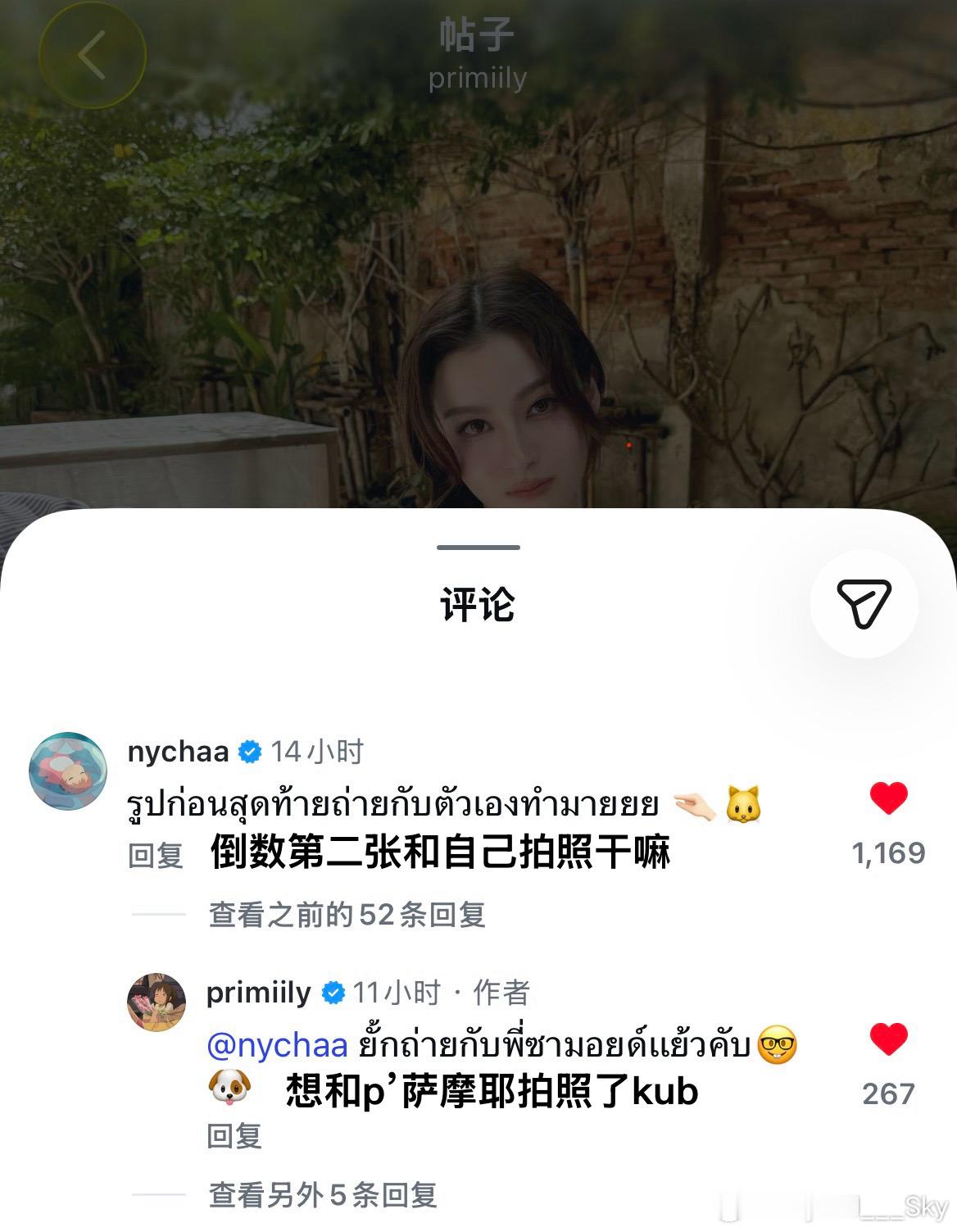 萌到了，是橘猫和萨摩耶🐱🐶 