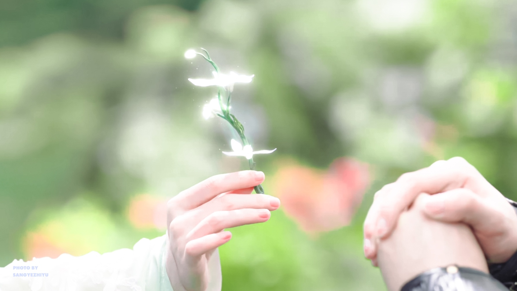 *此生不换🍃鞠婧祎千香