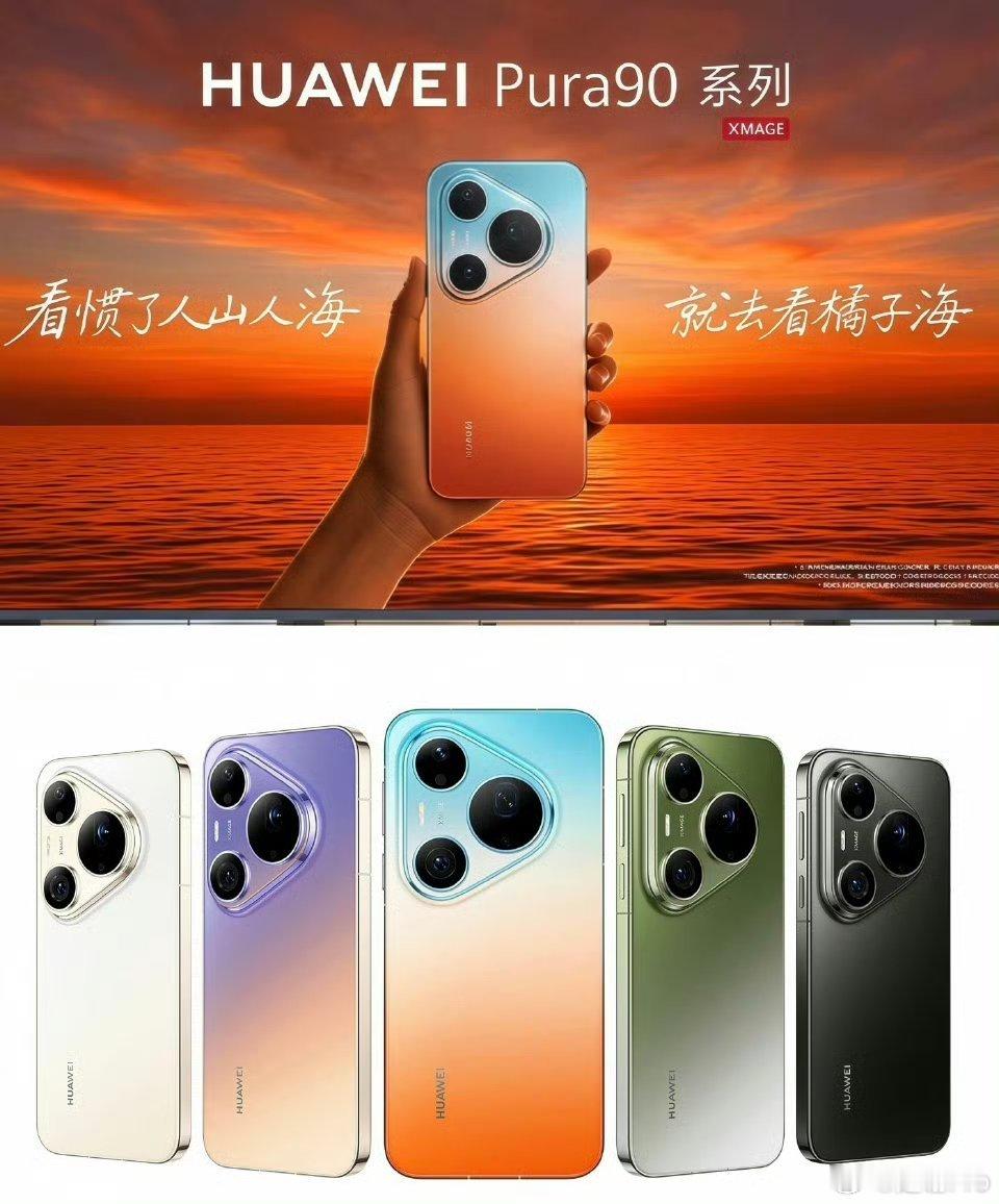 这也能叫侵权？我真的不理解了，维权意识是好的，但也不是让你这么用的啊！橘子海是一