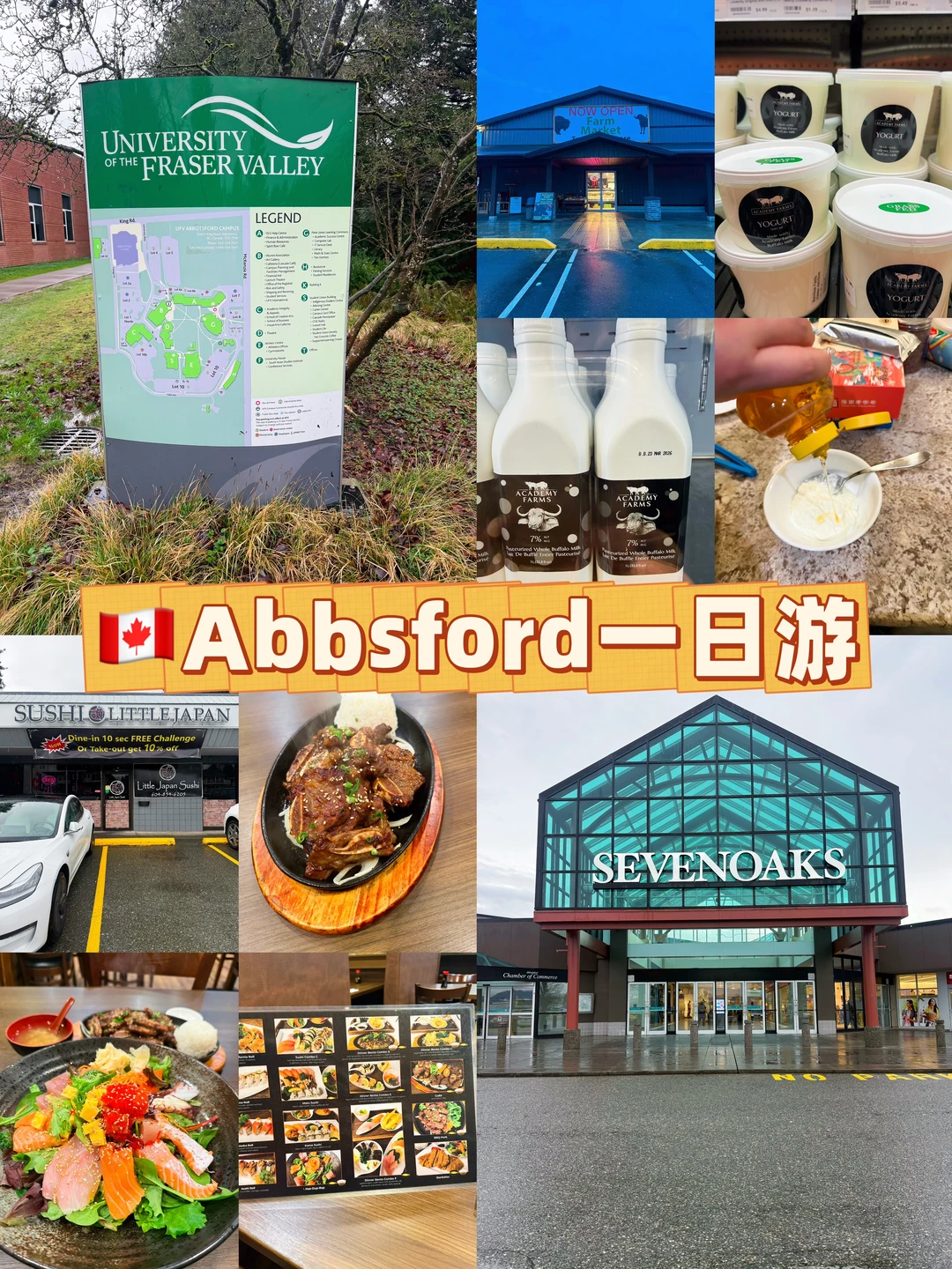 🇨🇦Abbotsford谁在UFV读过书？兰利买7%牛奶