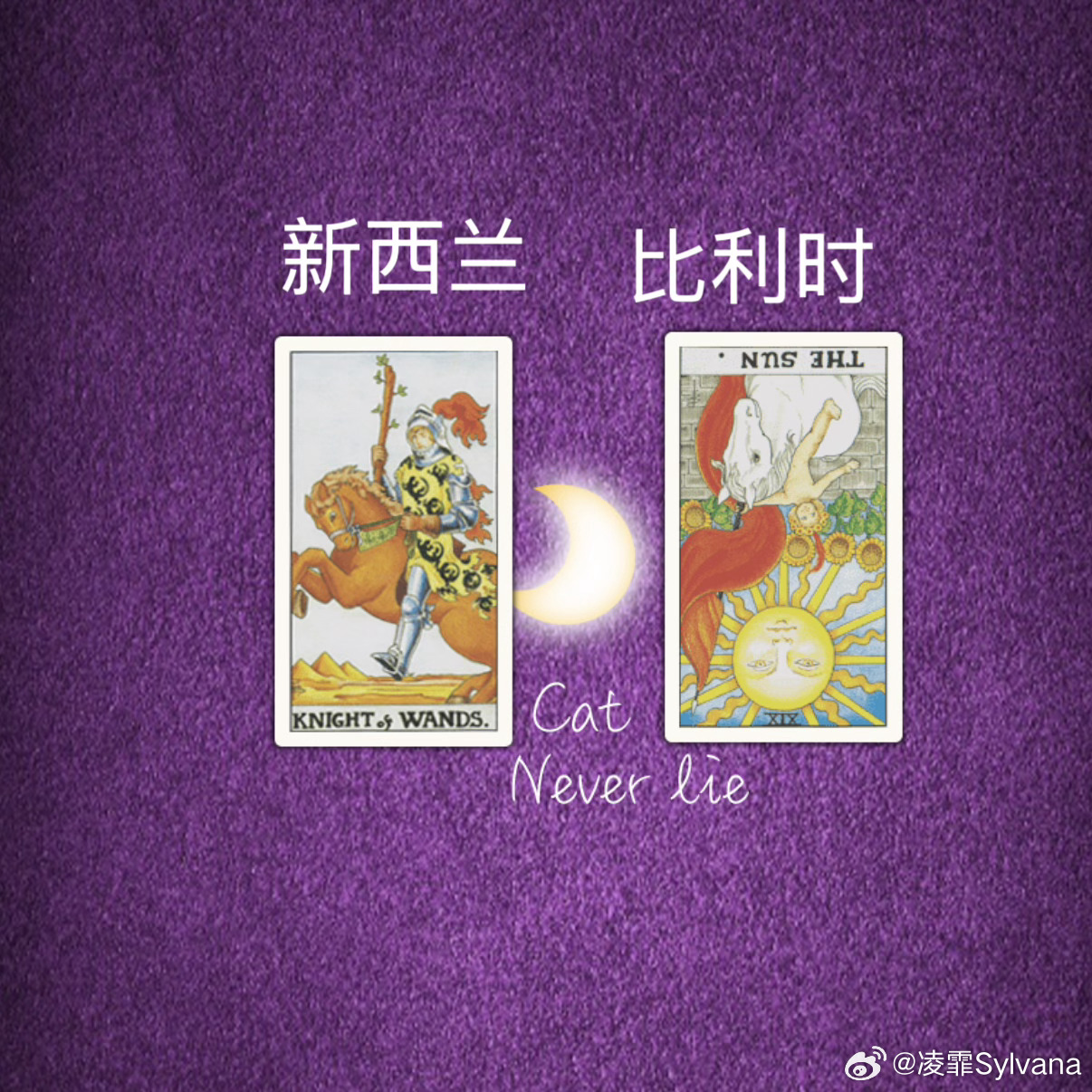 不构成任何参赛投注参考，纯属娱乐新西兰VS比利時权杖骑士某种状态上会更直接的进行