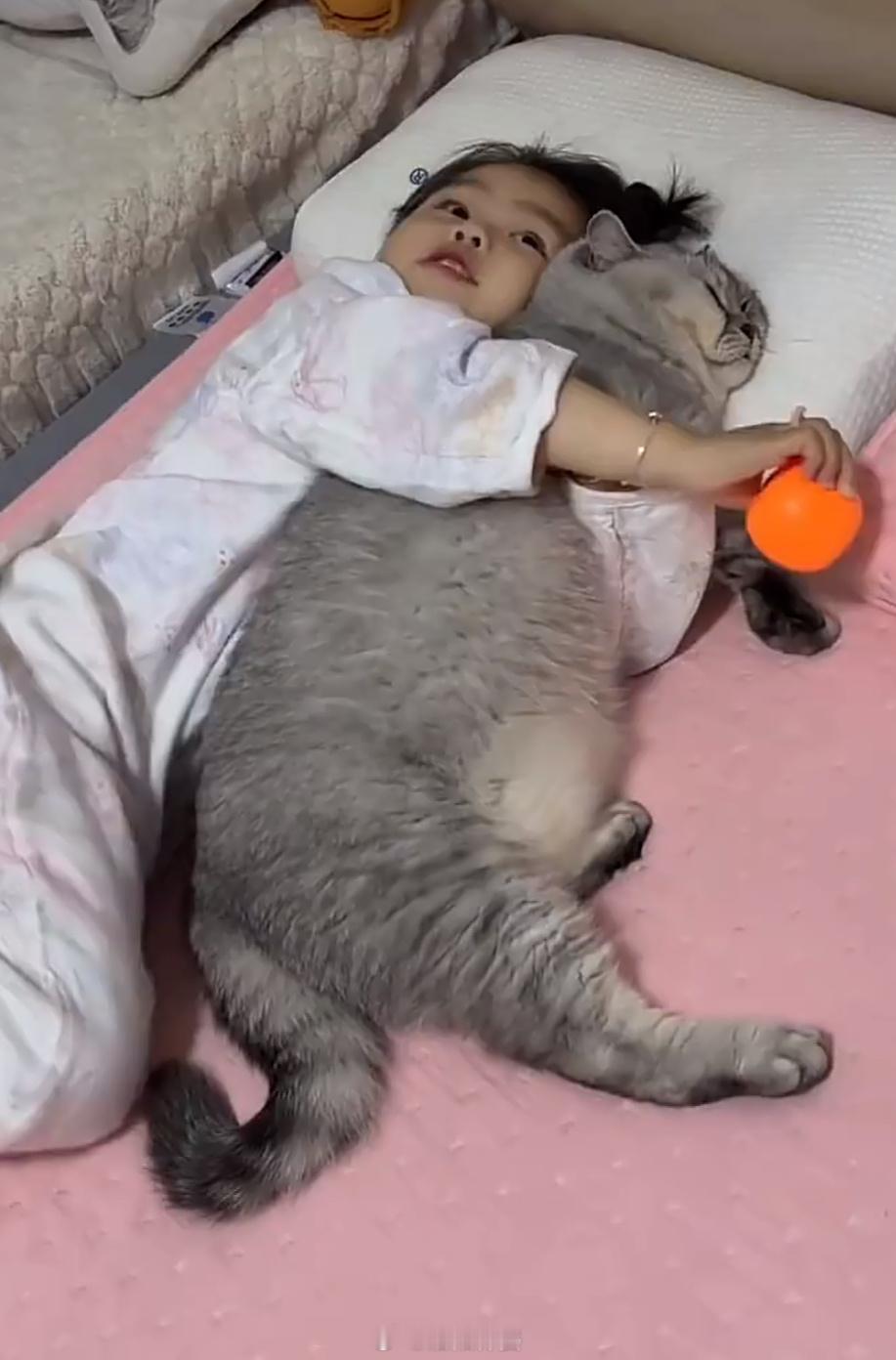 猫咪怕小主人冷着充当棉被这谁不想拥有一个软抱枕 