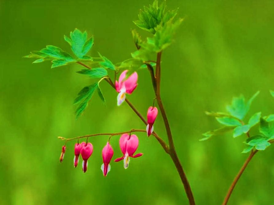 公园美丽景随拍