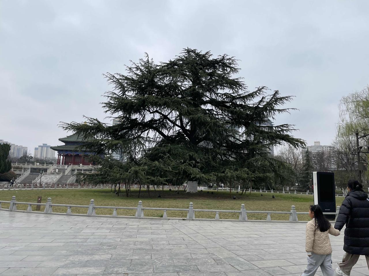 我的个人主页被官方推荐了，快来和我互动吧！