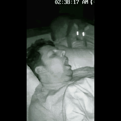 “笑喷了！”男子正躺在床上呼呼大睡，还张开嘴巴呼吸，家里养的狸花猫看到了，还以为