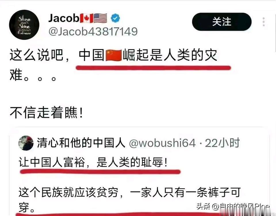 用中文发的，一看就是润人和殖 人。眼睁睁看着中国日益强大，复兴之路势不可挡，他们