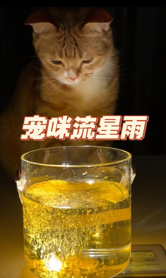 维生素 b2流星雨，虽迟但到