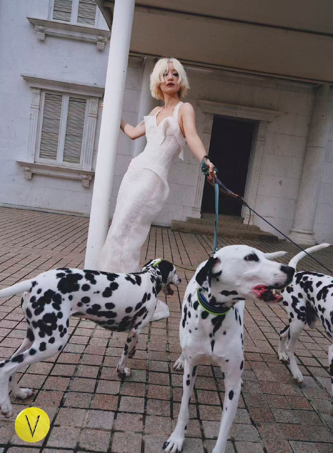 倪妮金色短发造型 倪妮V中文版八月刊封面 倪妮金发封面终于来了！大胆突破的全新造