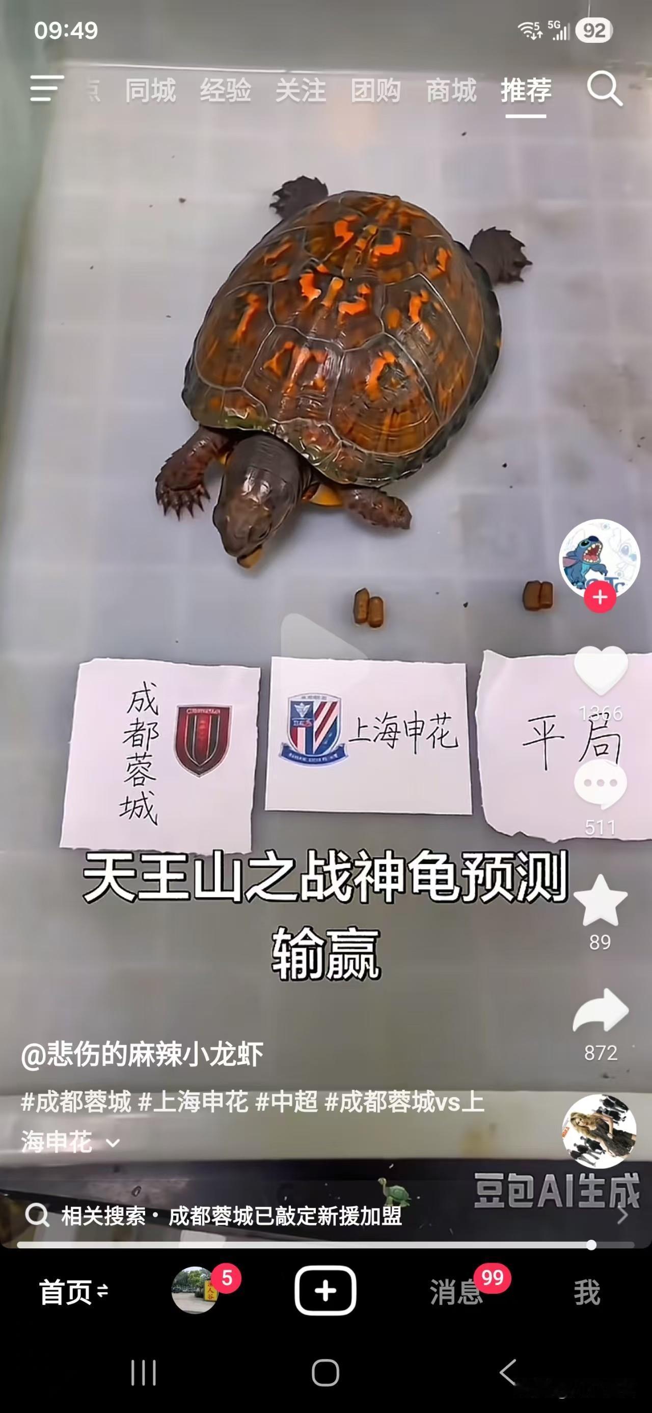 成都蓉城将战上海申花