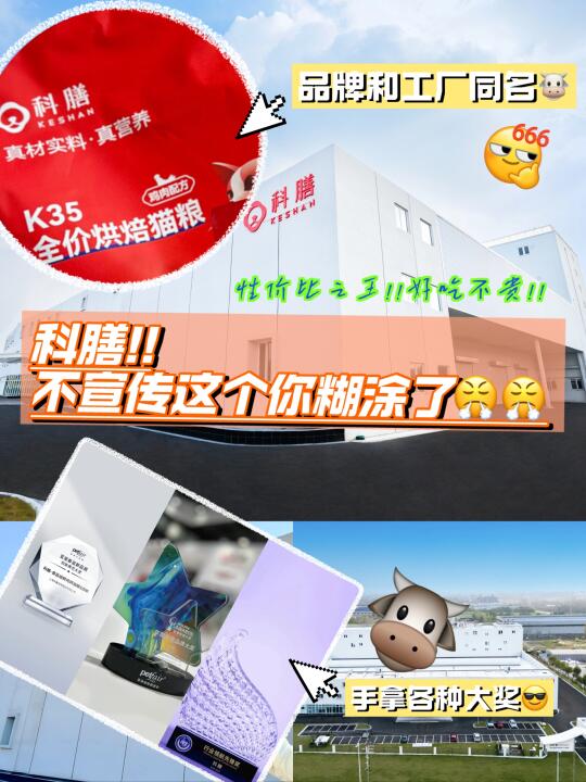 科膳你不宣传这个是真糊涂啊…