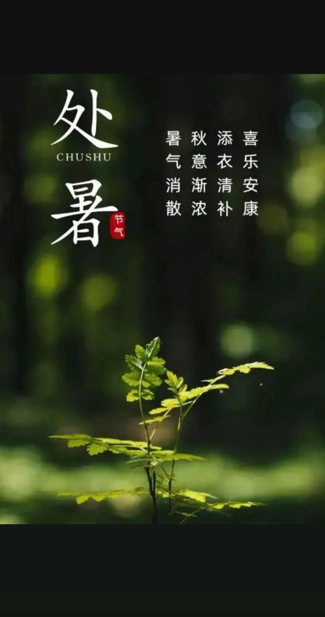 “处暑天还暑，好似秋老虎”

后天就是处暑了，老话说“处暑天还暑 ，好似秋老虎”