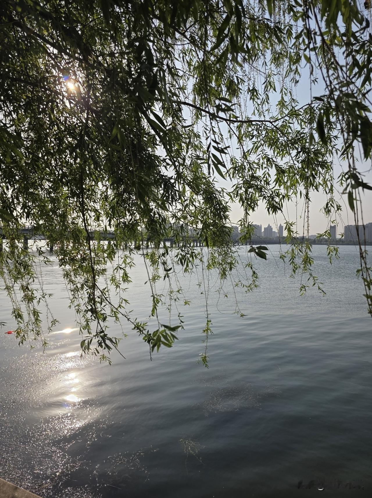 每个人都有一片属于自己的风景
 
朋友们，你有没有过这样的经历：总盯着别人的生活