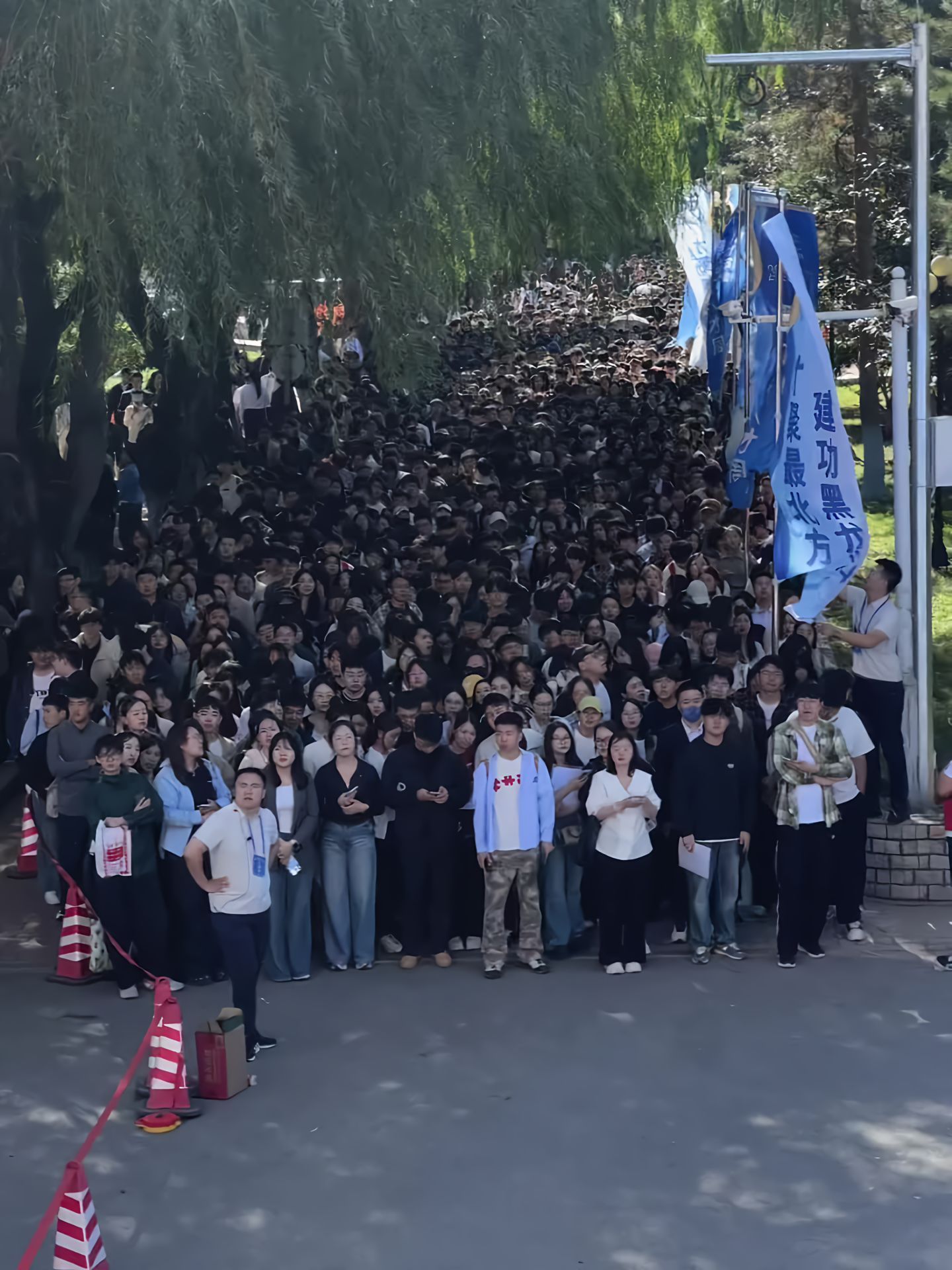 黑龙江人才周现场，就业形势已经这样了吗 ​​​
