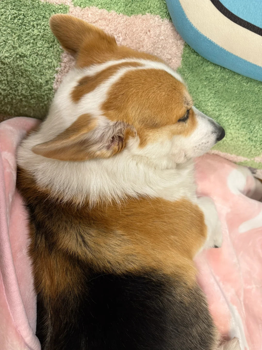 This is my daughter.