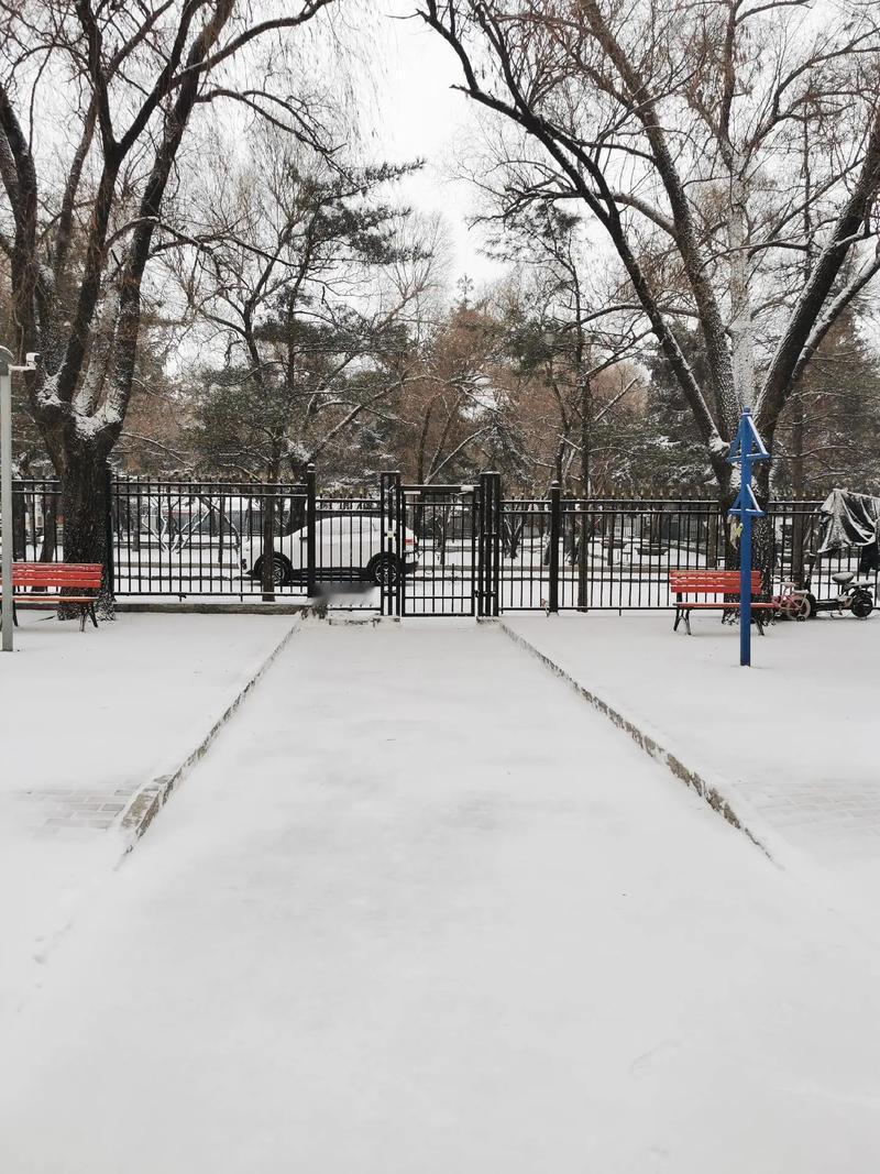 【今年冬天的不同】

今年的冬天，比以往任何一年都显得特别。不再是单纯的寒冷和雪