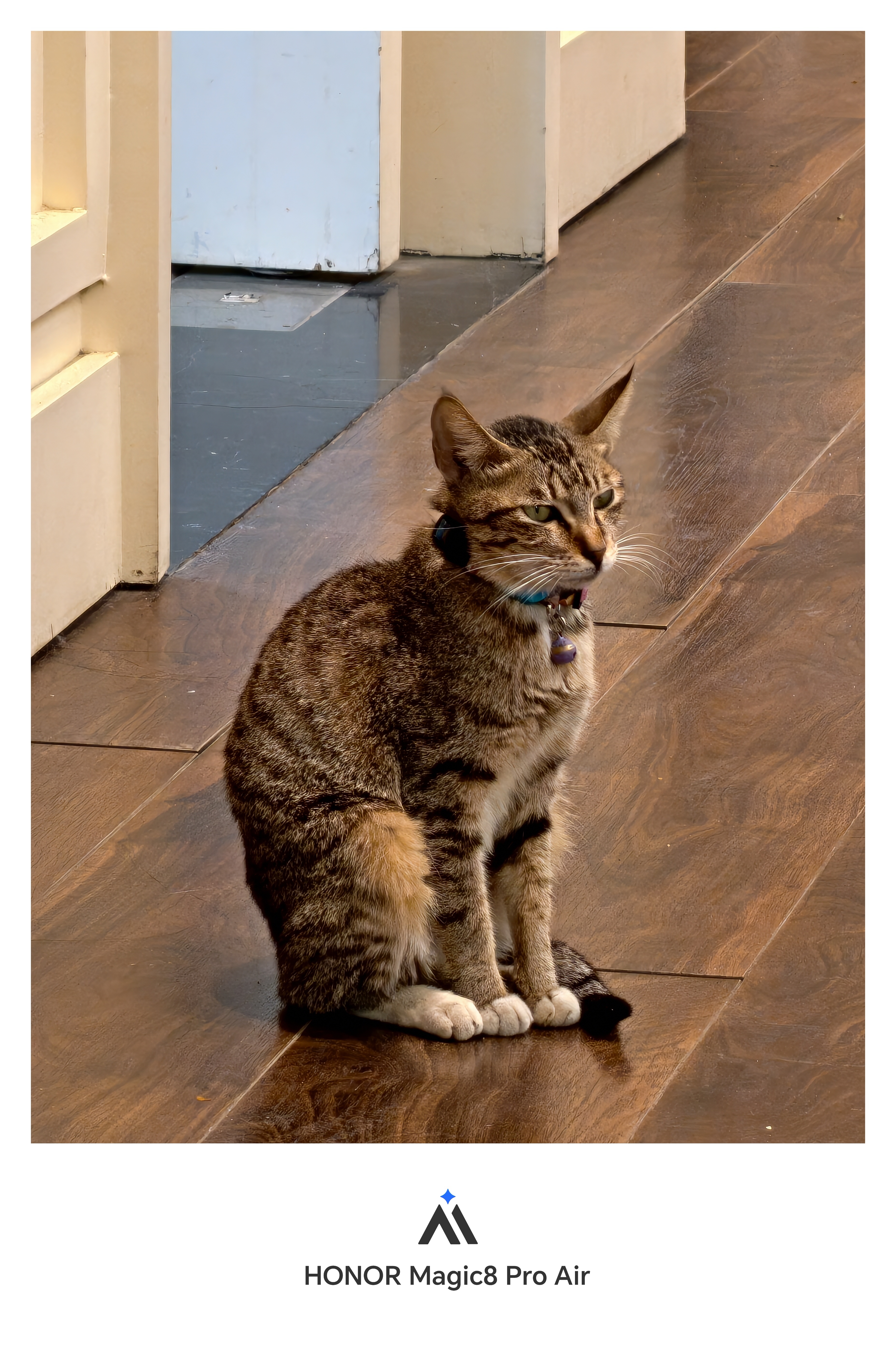 已有手机品牌暂停下一代旗舰项目确实听说有厂商会停旗舰机，不过据我所知主流品牌不会