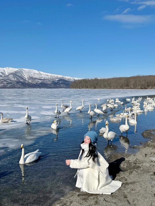 日本｜北海道道东一日游🏔️雪山下的天鹅湖🦢