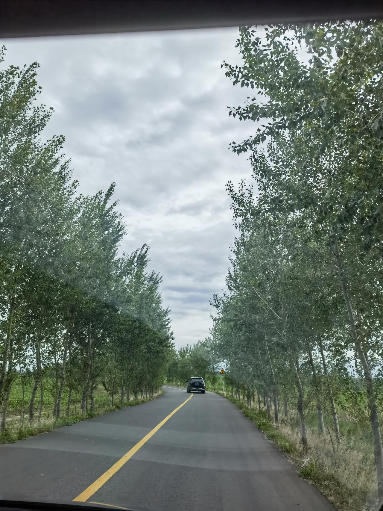 今日随手拍