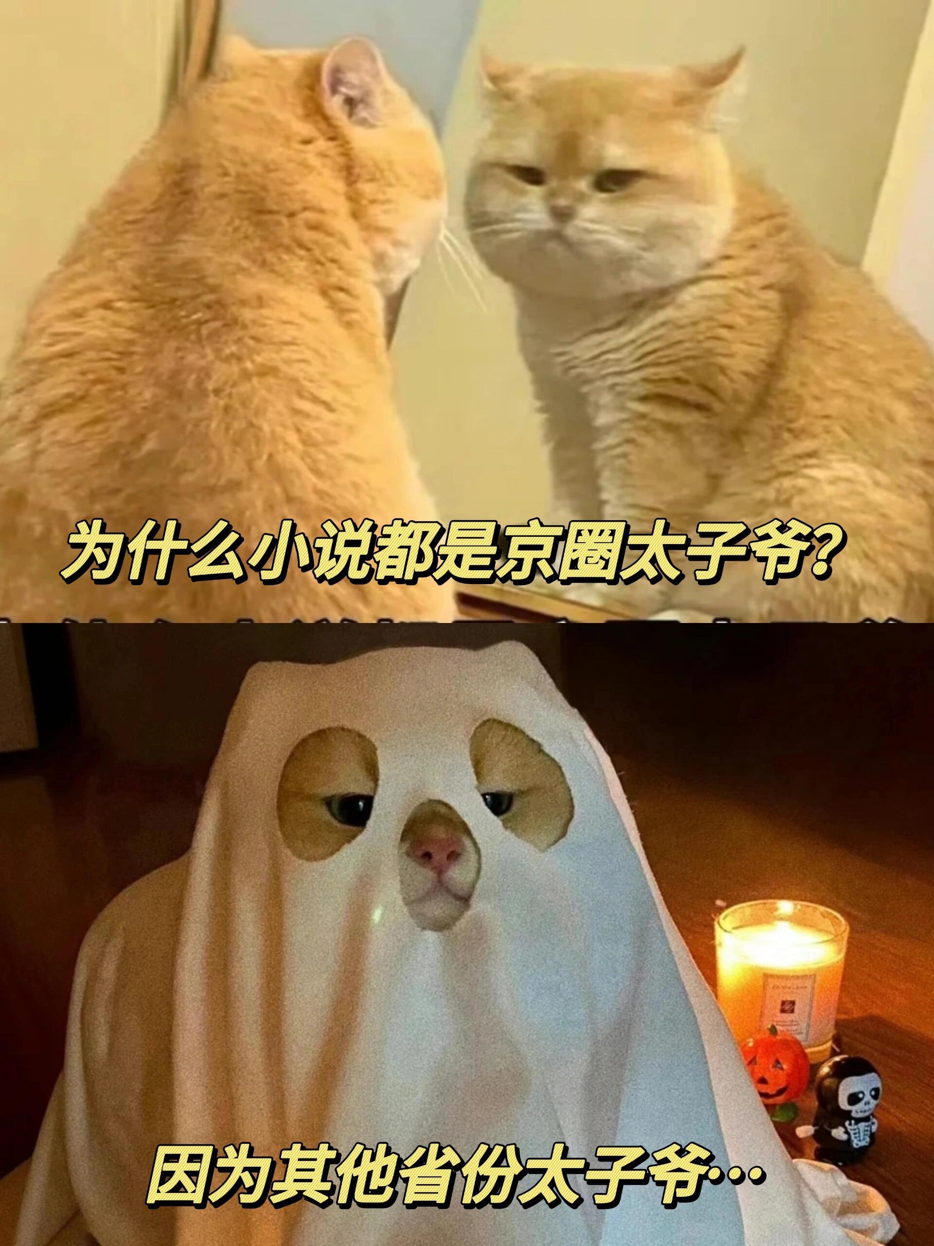 各省的太子爷～～ 