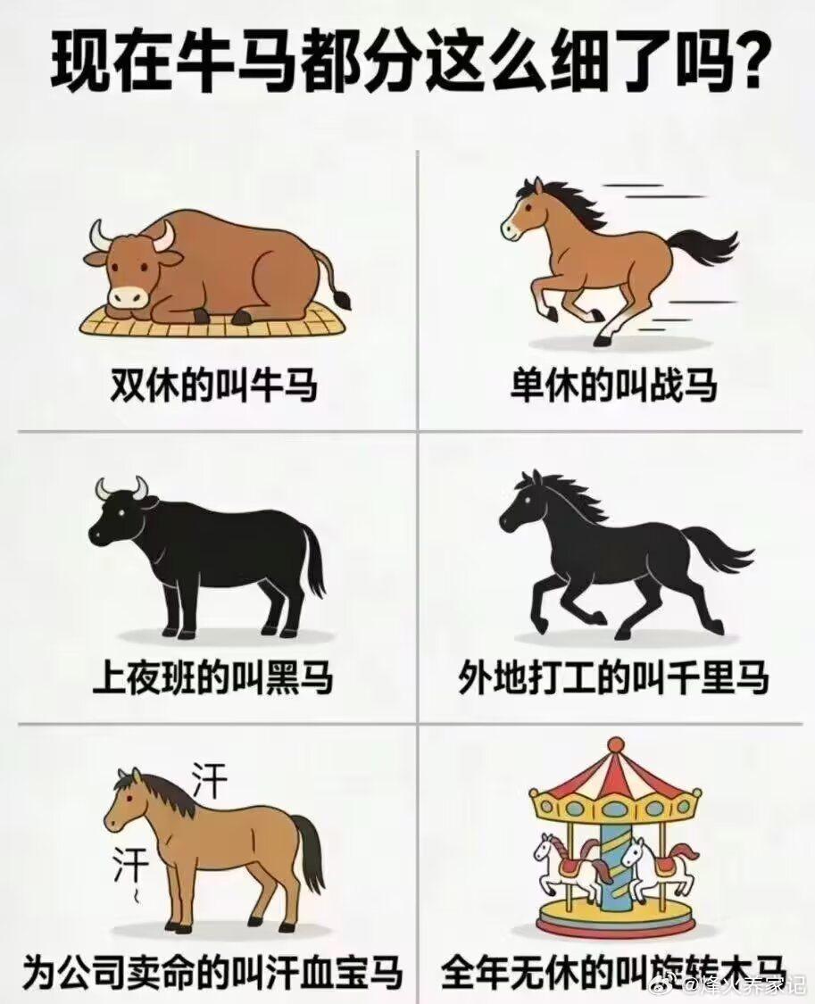 在家不上班天天吃喝玩乐的叫啥马！ 