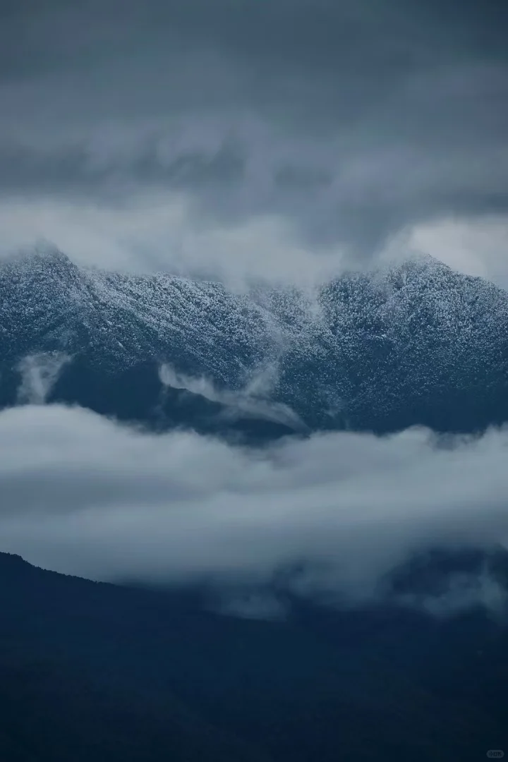 苍山下雪了，坐在在温暖的炉火旁读书