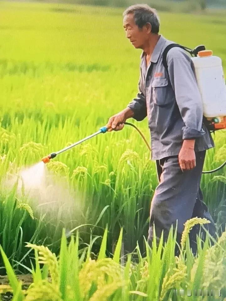 农村和农业农民真的很重要吗? 三农的主体核心就是农民，农村和农业农民当然重要。农