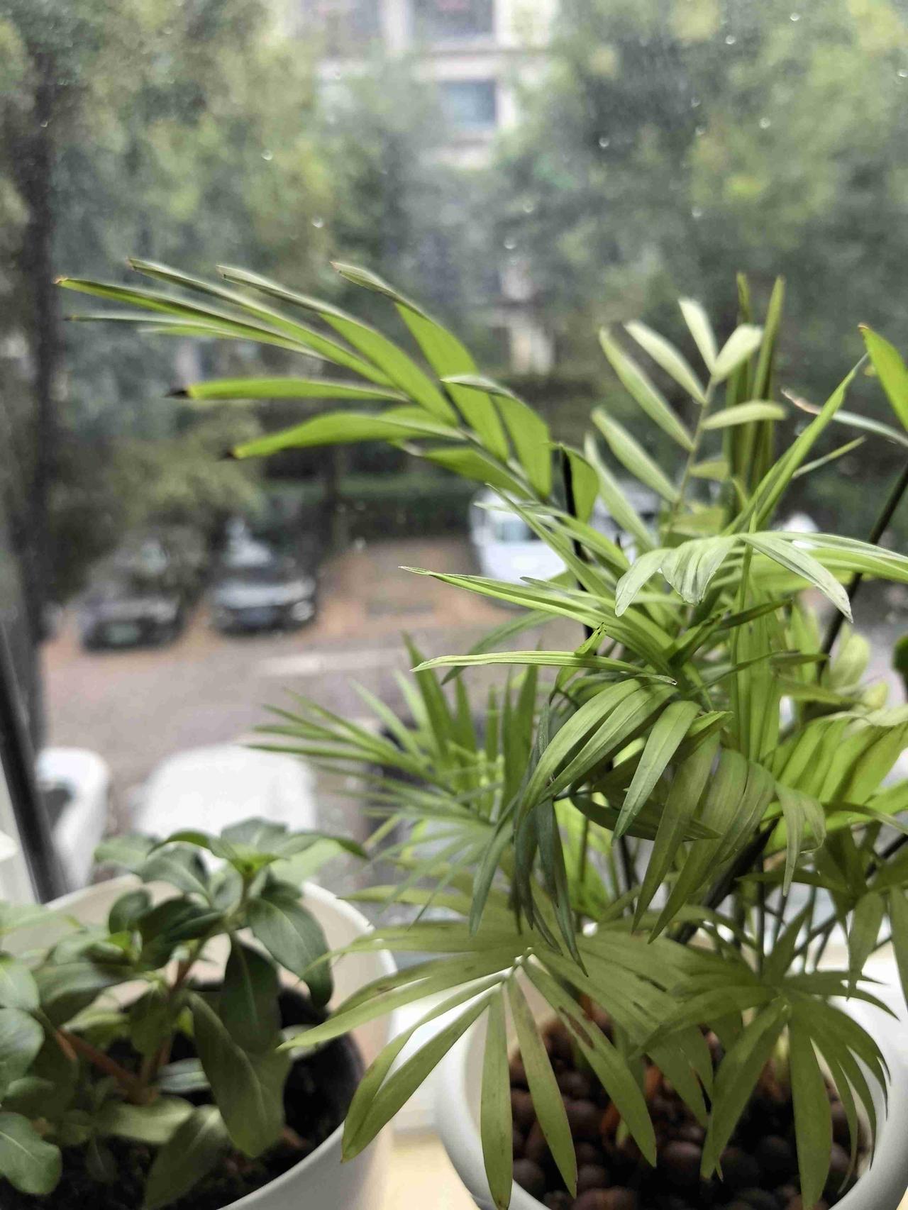 我的今日状态：😁轻松愉快
我这里的天气：☀️晴天或有雨