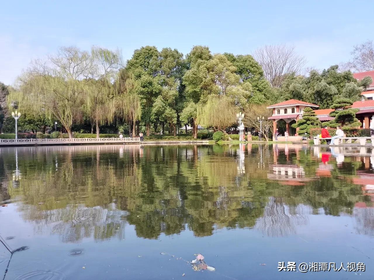 晒图笔记大赛秋日美丽的橘子洲头